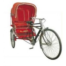 Delhi Rickshaw Tricycle Tour Ride